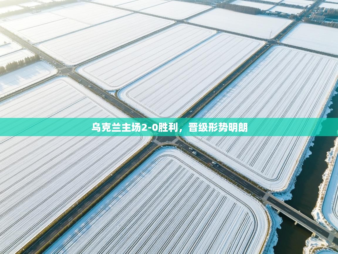 乌克兰主场2-0胜利,晋级形势明朗 第1张