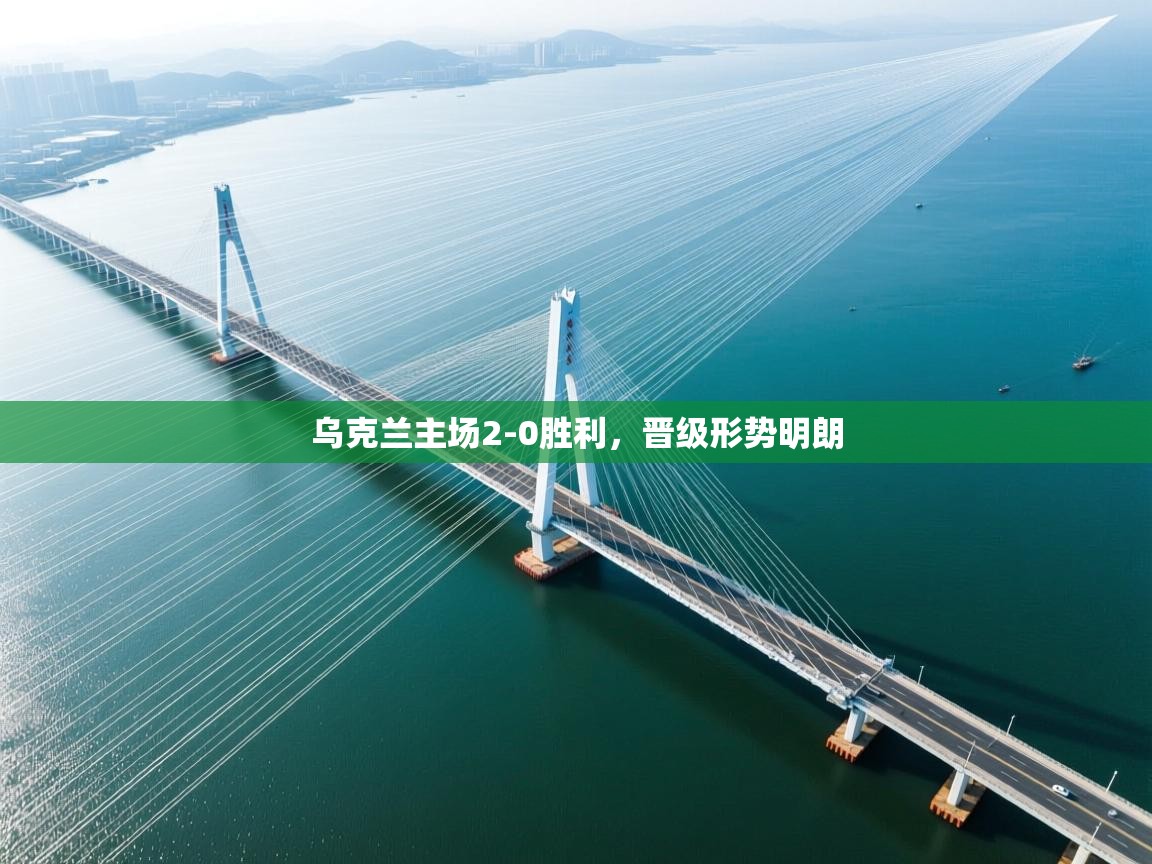 乌克兰主场2-0胜利,晋级形势明朗 第2张