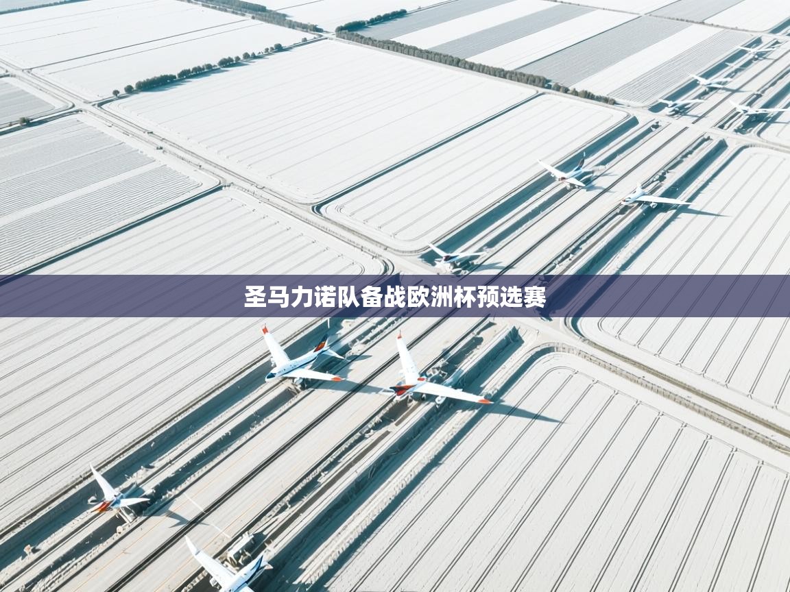 圣马力诺队备战欧洲杯预选赛  第1张