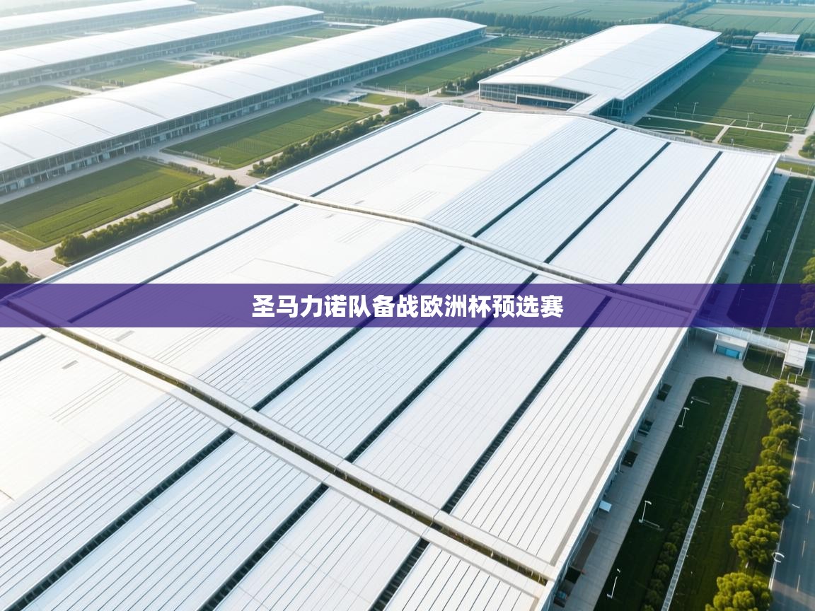 圣马力诺队备战欧洲杯预选赛  第2张