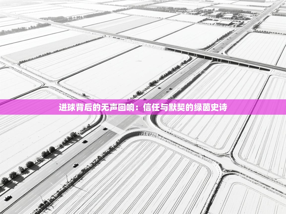 进球背后的无声回响：信任与默契的绿茵史诗  第2张