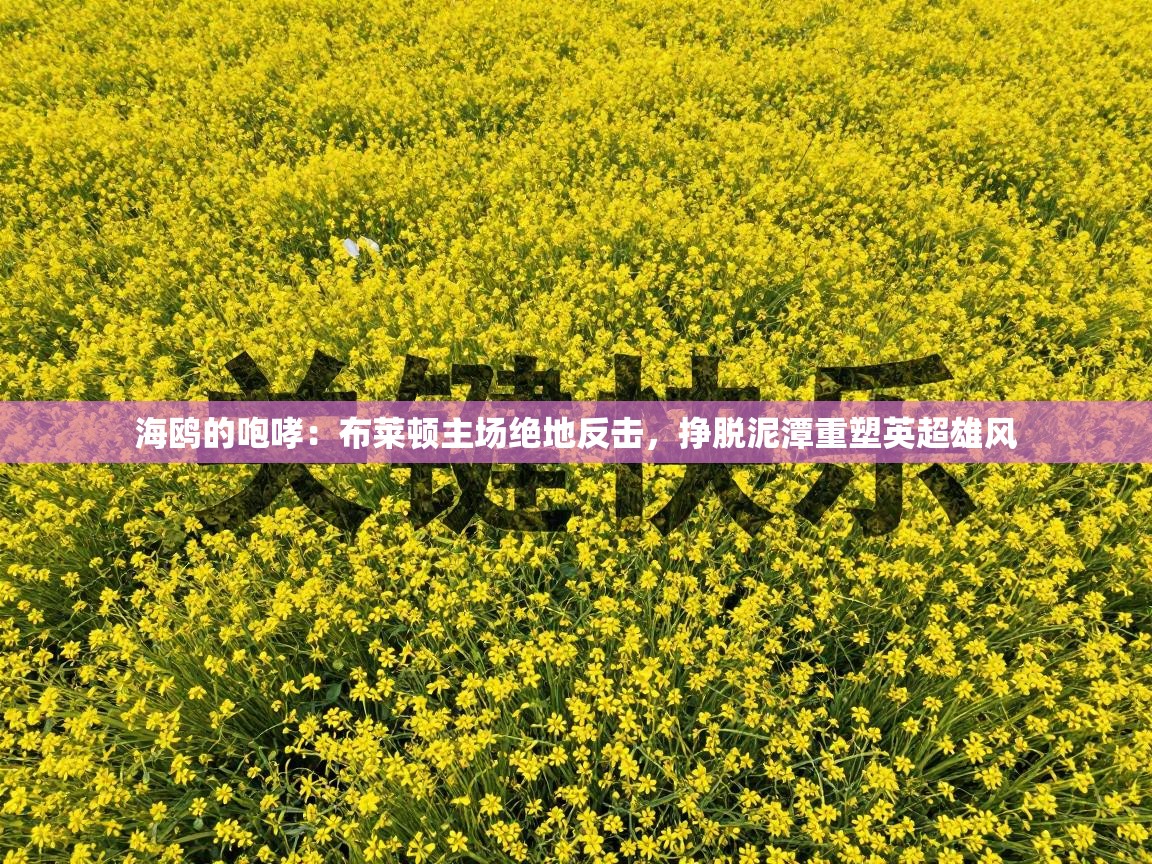 海鸥的咆哮：布莱顿主场绝地反击，挣脱泥潭重塑英超雄风  第1张