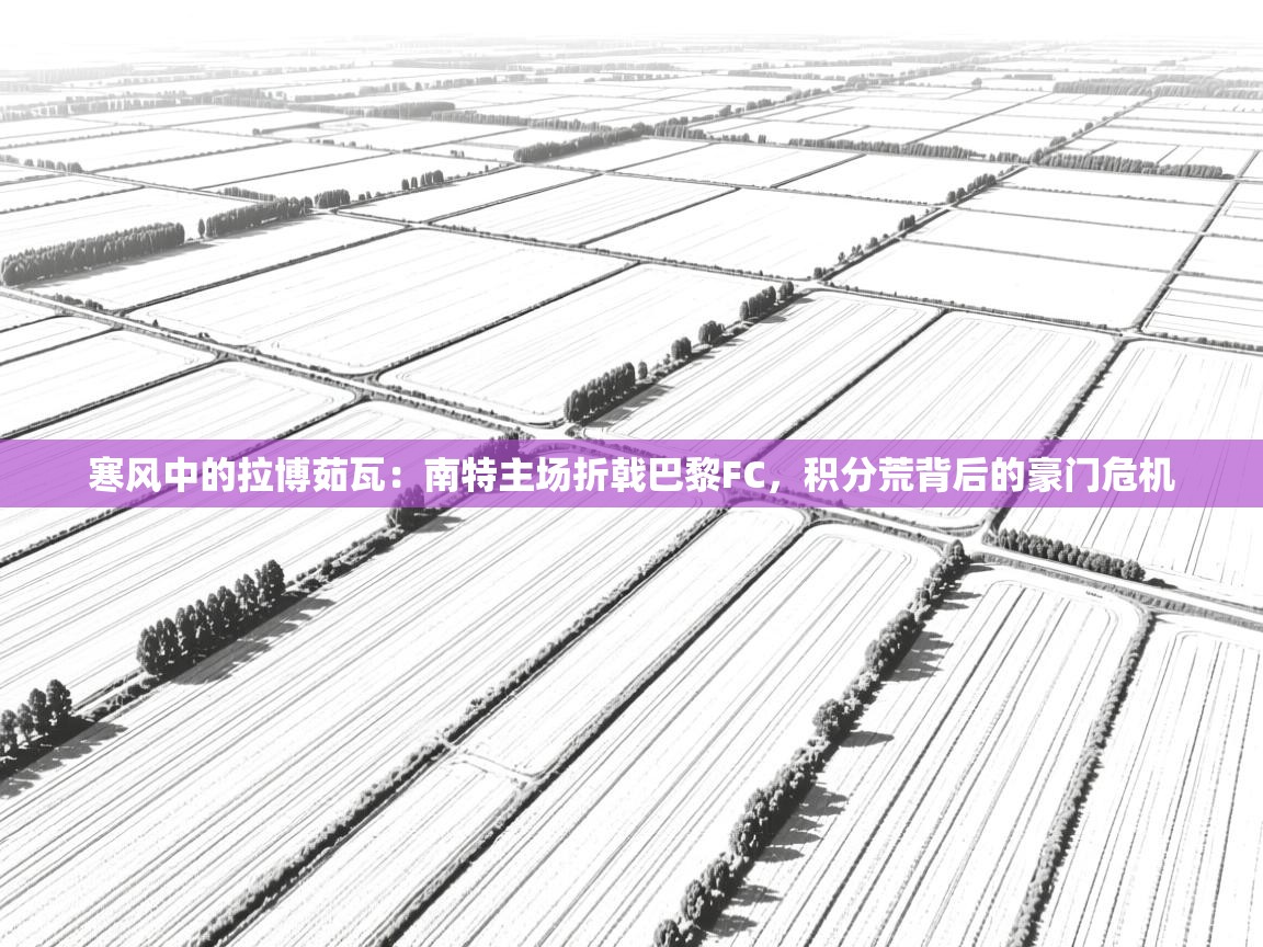 寒风中的拉博茹瓦：南特主场折戟巴黎FC，积分荒背后的豪门危机  第1张