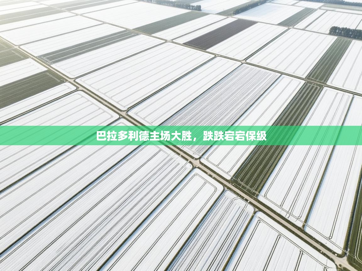 巴拉多利德主场大胜,跌跌宕宕保级 第2张