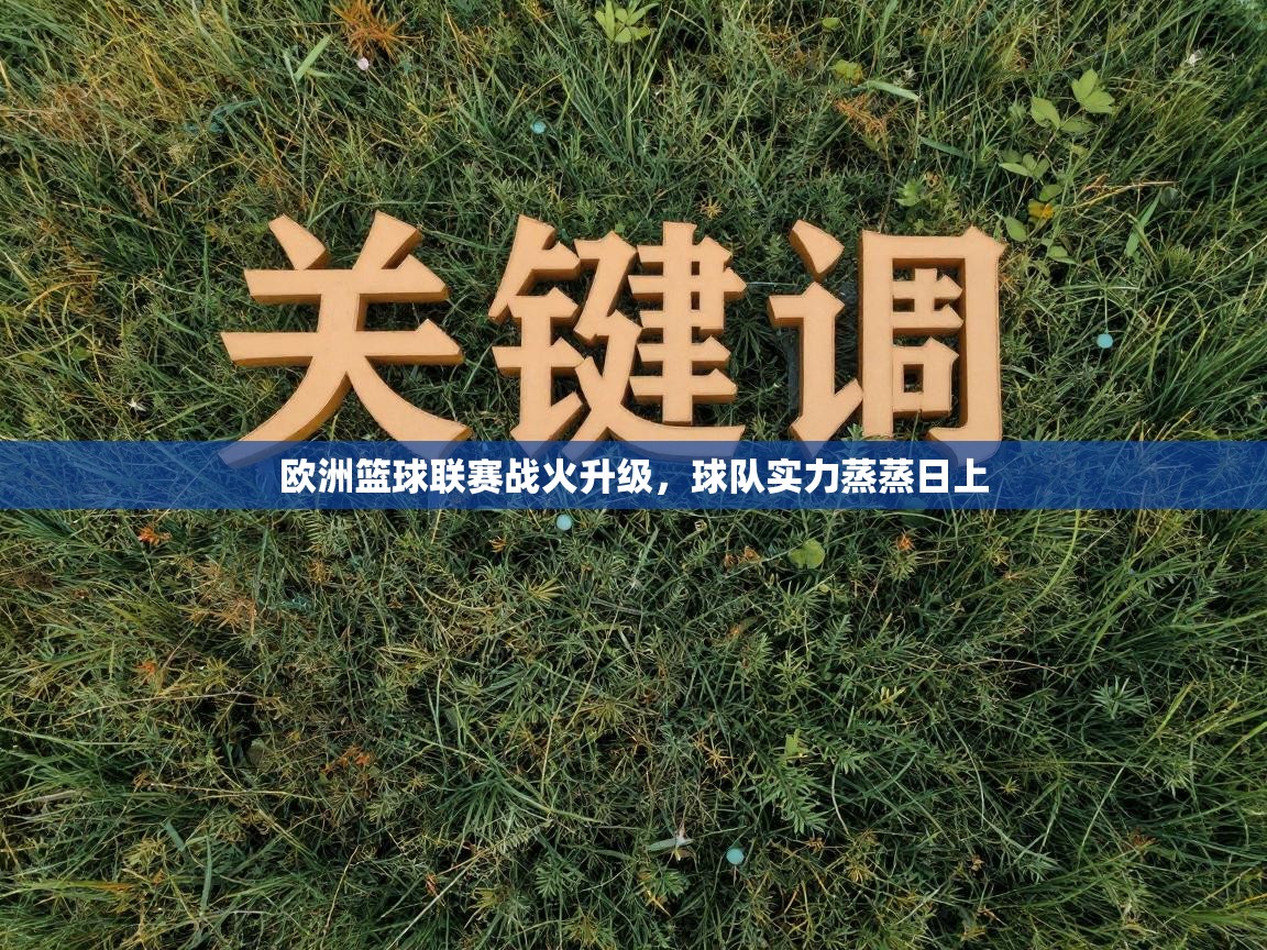 欧洲篮球联赛战火升级，球队实力蒸蒸日上  第2张